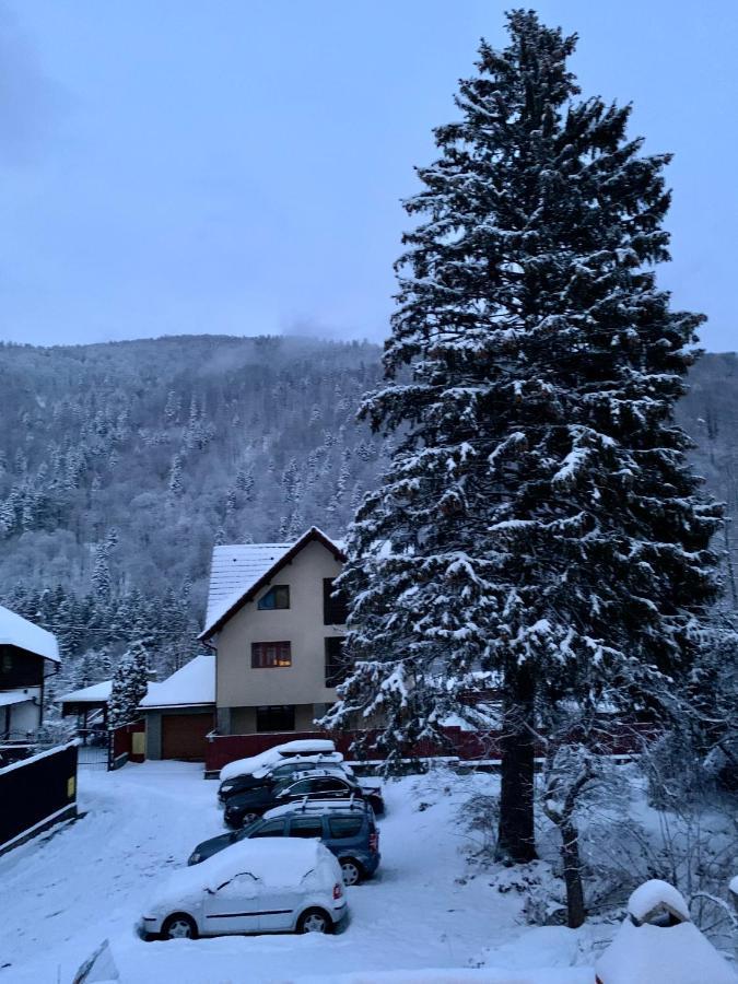 Holiday Home In Sinaia Luaran gambar