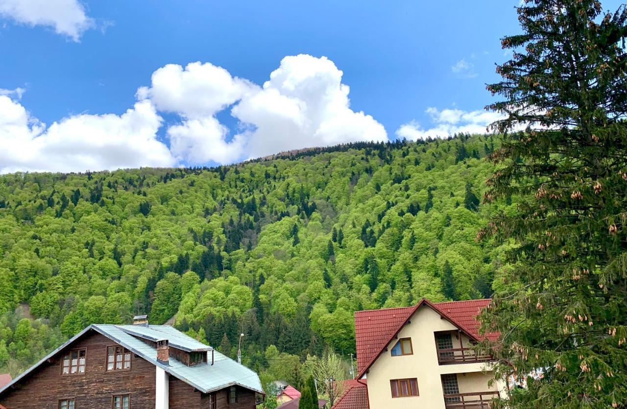 Holiday Home In Sinaia Luaran gambar