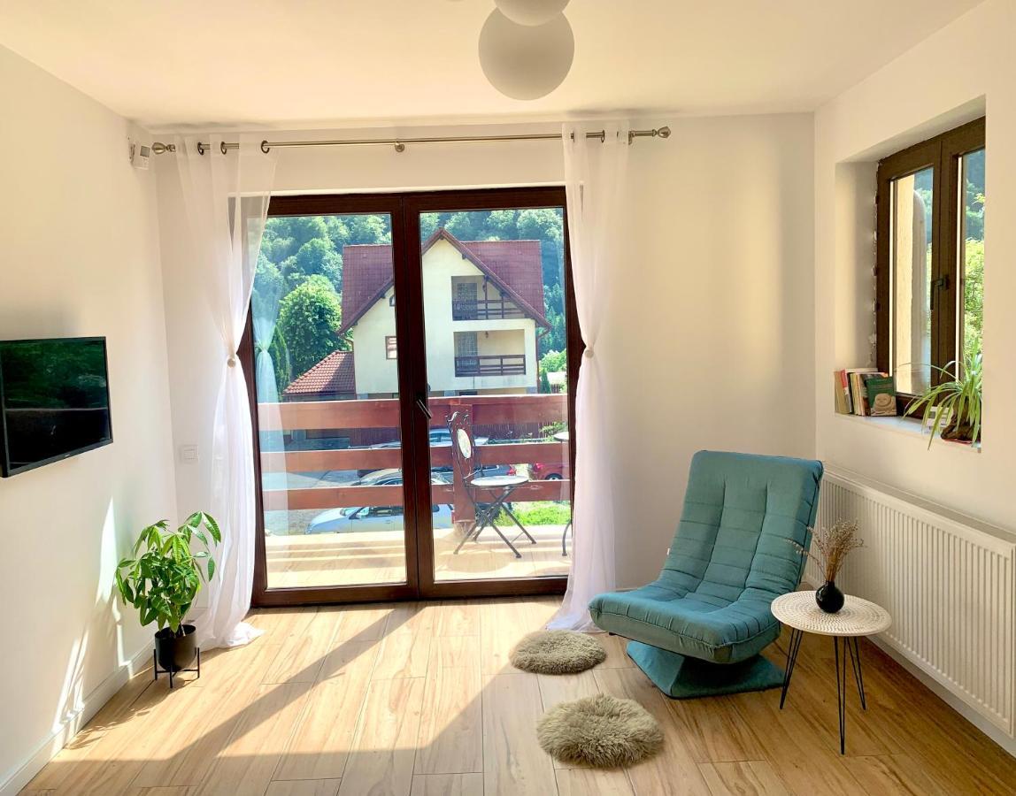Holiday Home In Sinaia Luaran gambar